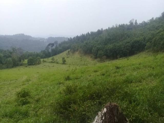 Área para Venda em Nazaré Paulista - 5