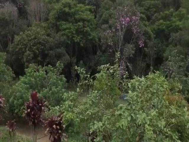 Chácara para Venda em Igaratá - 5