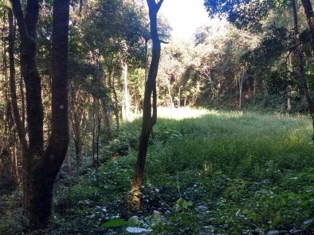 Área para Venda em Nazaré Paulista - 5