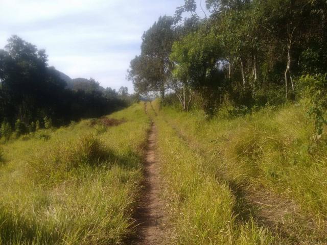 Chácara para Venda em Mairiporã - 4