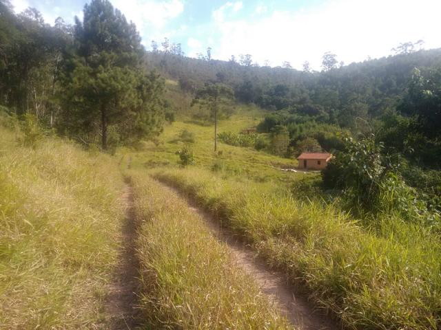 Chácara para Venda em Mairiporã - 5