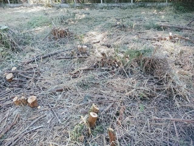 Área para Venda em Atibaia - 4