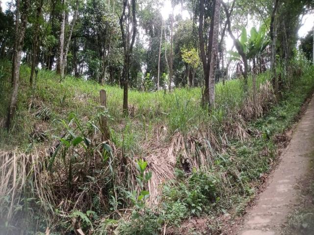 Área para Venda em Nazaré Paulista - 4