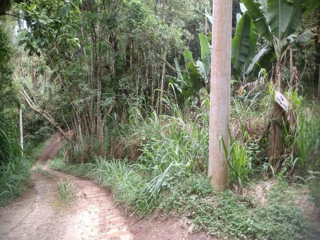 Área para Venda em Nazaré Paulista - 5