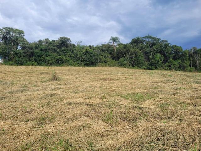 Área para Venda em Nazaré Paulista - 4